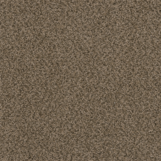 Dreamweaver Carpet Hot Pursuit Fossil DREAMWEAVER