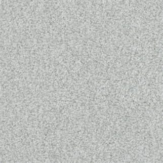 Masland Carpets Boca Raton Infinite Masland