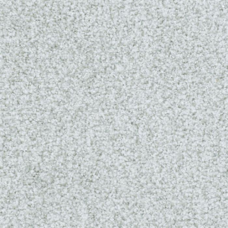 Masland Carpets St Augustine Infinite Masland