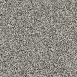 Dreamweaver Carpet Lucky Penny II Ventura DREAMWEAVER