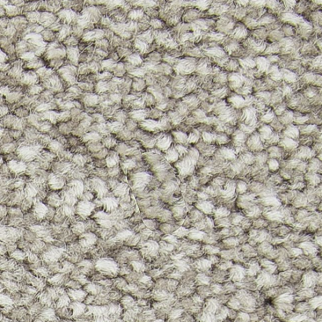 Horizon Carpet Exceptional Choice Heather Tint Mohawk
