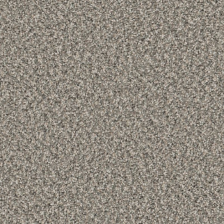 Shaw Floors High Ranking B Shallow Water SHAW