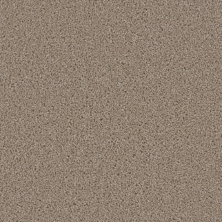 Dreamweaver Carpet Broadcast Plus Flax Beige DREAMWEAVER