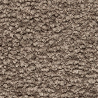 Horizon Carpet Pleasant Touch Steeplechase Mohawk