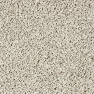 Horizon Carpet Exquisite Beauty Rustic Charm Mohawk