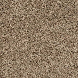 Horizon Carpet Gentle Approach Woodland Mohawk