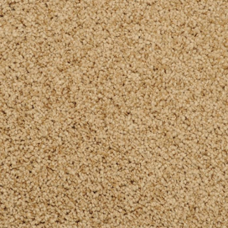 Masland Carpets Shangri-La Conway Masland