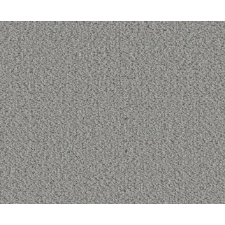 Shaw Floors Fine Tapestry Sentimental SHAW