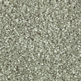 Horizon Carpet Natural Refinement I Garden Club Mohawk