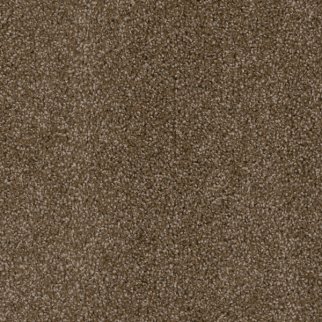 Dreamweaver Carpet Cedar Creek Black Walnut DREAMWEAVER
