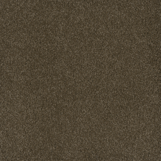 Dreamweaver Carpet Hammond Creek I Black Walnut DREAMWEAVER