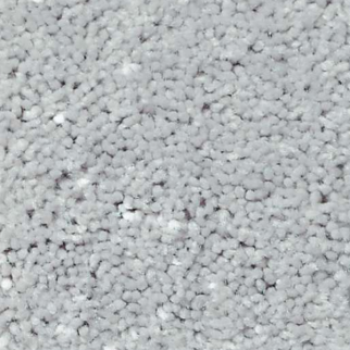 Shaw Floors All Star Weekend I 12' Dove SHAW