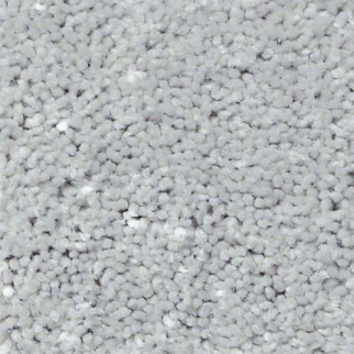 Shaw Floors Full Court 12 Dove SHAW