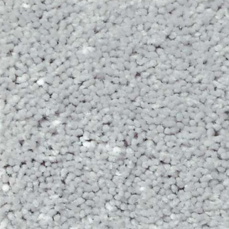 Shaw Floors All Star Weekend III 12' Dove SHAW