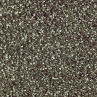 Horizon Carpet Natural Refinement I Pine Needle Mohawk