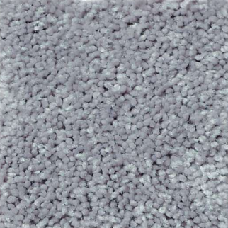 Shaw Floors All Star Weekend I 12' Dolphin SHAW