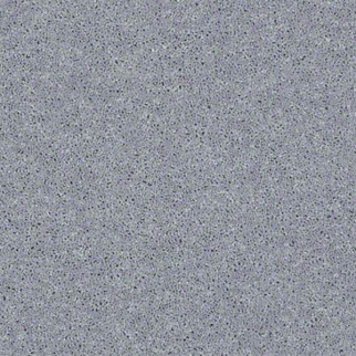 Shaw Floors All Star Weekend I 15' Dolphin SHAW