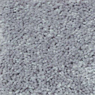 Shaw Floors Full Court 12 Dolphin SHAW