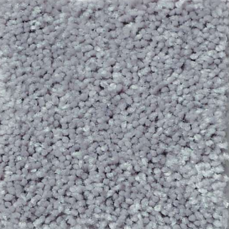 Shaw Floors All Star Weekend III 12' Dolphin SHAW