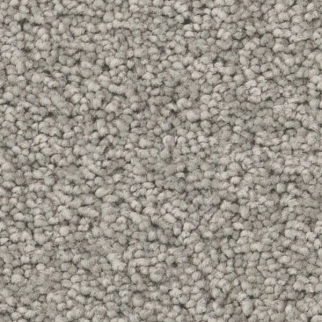 Tuftex Elegant Beauty Summer Rain SHAW