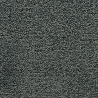 Masland Carpets Santa Barbara Sycamore Masland