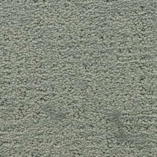 Masland Carpets Santa Barbara Chaparral Masland
