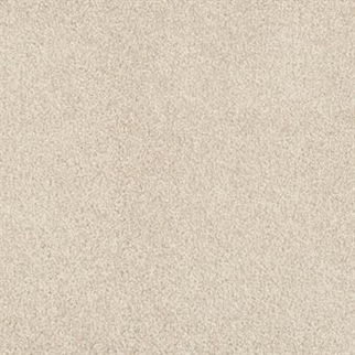 Masland Carpets Key West Coastal Frog Masland