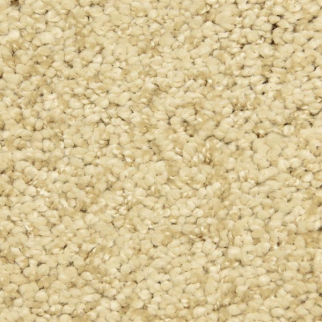 Masland Carpets Shangri-La Too Baskul Masland