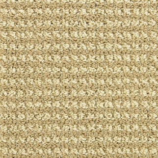 Masland Carpets Tango Chasse Masland