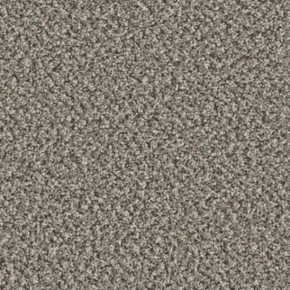 Shaw Floors High Ranking B River SHAW