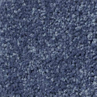 Shaw Floors All Star Weekend I 12' Steel SHAW