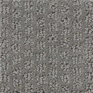 Shaw Floors Pacific Trails Titanium SHAW