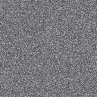 Dixie Home Pyrenees Pumi