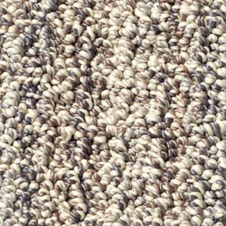 Tuftex Sundance Cedar Grove SHAW