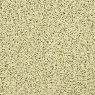 Masland Carpets Sea Grass Moss Masland