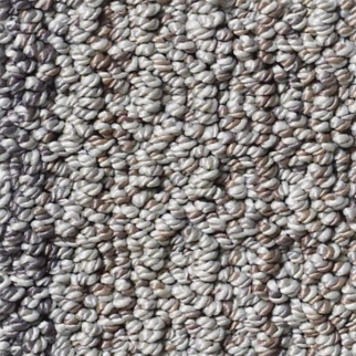 Tuftex Sundance Blue Steel SHAW