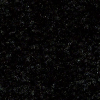 Shaw Floors Dyersburg Classic 12' Coal Black SHAW