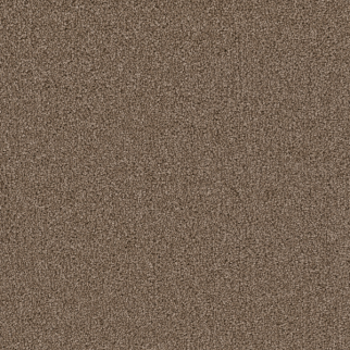 Dreamweaver Carpet Cape Cod Cocoa DREAMWEAVER