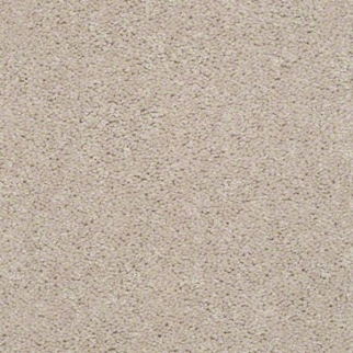Shaw Floors Dyersburg Classic 12' Cashmere SHAW