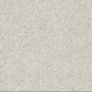 Shaw Floors Dyersburg Classic 12' Taupe SHAW