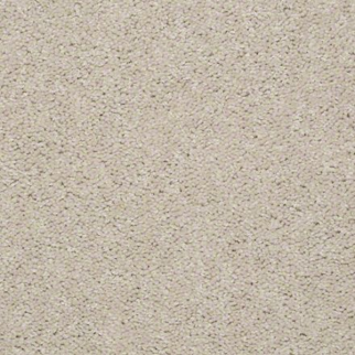 Shaw Floors Dyersburg Classic 12' Marble SHAW