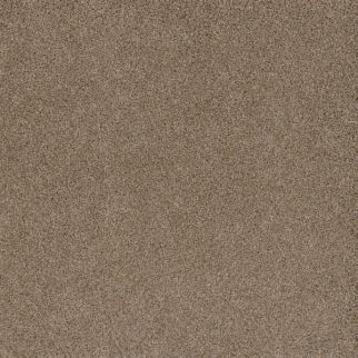 Dreamweaver Carpet Stunning Straw DREAMWEAVER