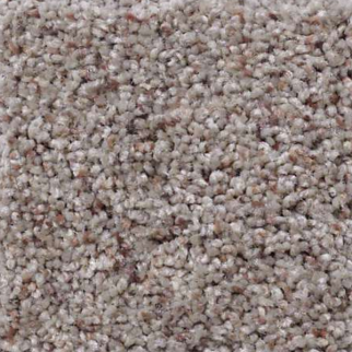 Shaw Floors What's Up Terrace SHAW