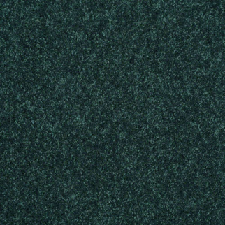 Shaw Floors Newbern Classic 12 Polo SHAW