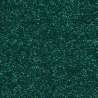 Shaw Floors Dyersburg Classic 12' Polo SHAW