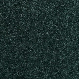 Shaw Floors Dalton 30 12' Polo SHAW