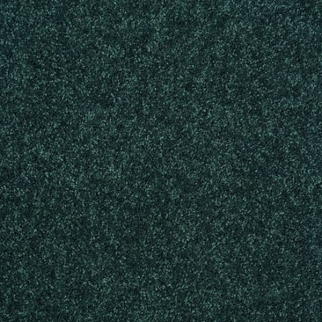 Shaw Floors Dalton 40 12 Polo SHAW