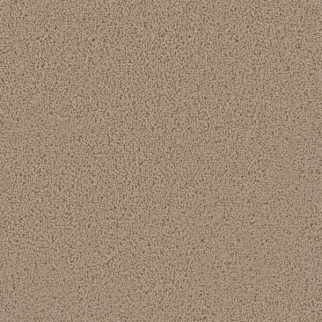 Dreamweaver Carpet First Step Satinwood DREAMWEAVER