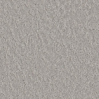 Shaw Floors Clever Blend Gravity SHAW