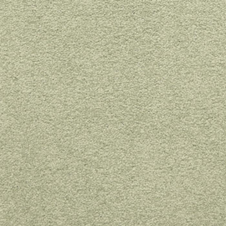 Masland Carpets Patriot Valley Masland